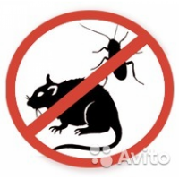 ООО "Центр Медицины"